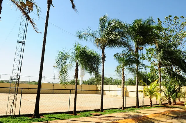 Campo de futebol da área de lazer, cercado por fileira de palmeiras