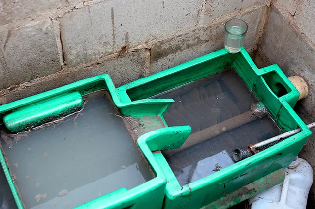 Caixa coletora verde com o compartimento cheio de água durante o tratamento